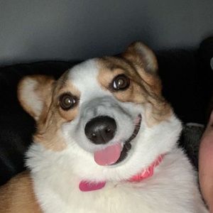 Meet your Posher, Jordan